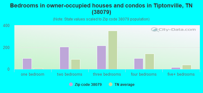 Bedrooms in owner-occupied houses and condos in Tiptonville, TN (38079) 