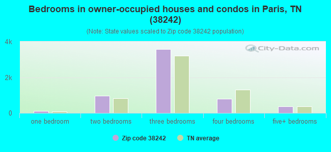 Bedrooms in owner-occupied houses and condos in Paris, TN (38242) 