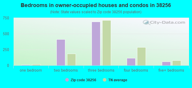 Bedrooms in owner-occupied houses and condos in 38256 