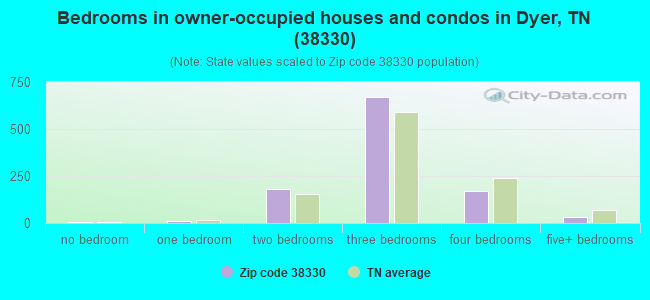 Bedrooms in owner-occupied houses and condos in Dyer, TN (38330) 