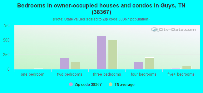 Bedrooms in owner-occupied houses and condos in Guys, TN (38367) 