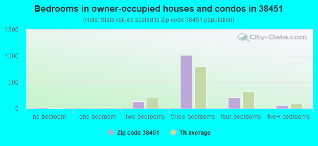 Bedrooms in owner-occupied houses and condos in 38451 
