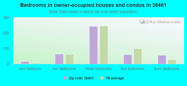 Bedrooms in owner-occupied houses and condos in 38461 