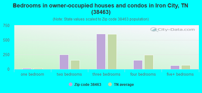 Bedrooms in owner-occupied houses and condos in Iron City, TN (38463) 