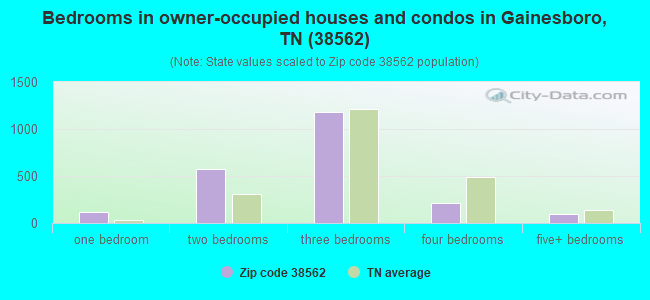 Bedrooms in owner-occupied houses and condos in Gainesboro, TN (38562) 
