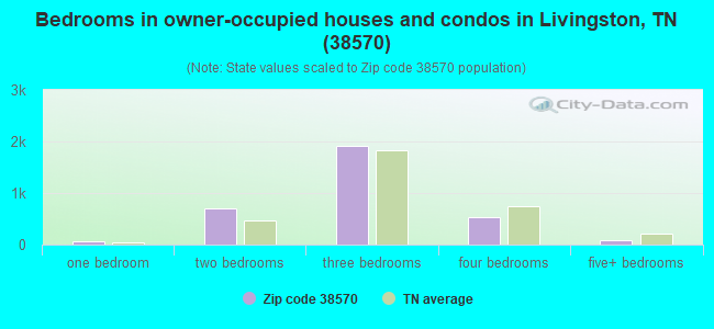 Bedrooms in owner-occupied houses and condos in Livingston, TN (38570) 