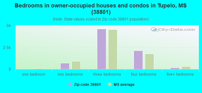 Bedrooms in owner-occupied houses and condos in Tupelo, MS (38801) 