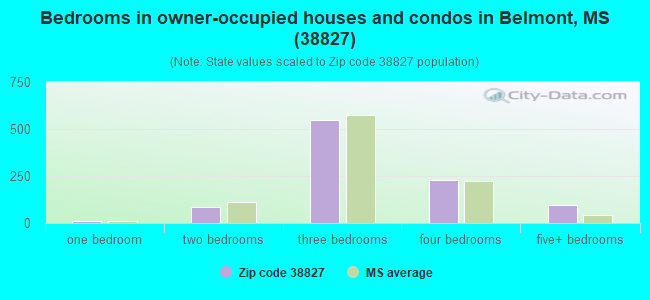 Bedrooms in owner-occupied houses and condos in Belmont, MS (38827) 