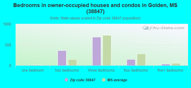Bedrooms in owner-occupied houses and condos in Golden, MS (38847) 