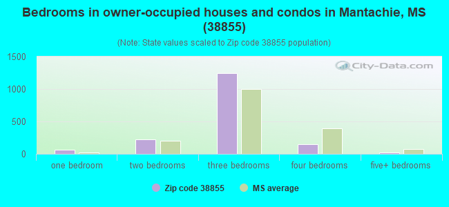 Bedrooms in owner-occupied houses and condos in Mantachie, MS (38855) 