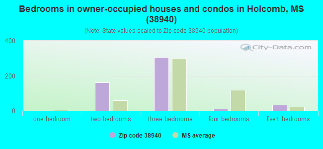 Bedrooms in owner-occupied houses and condos in Holcomb, MS (38940) 