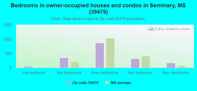 Bedrooms in owner-occupied houses and condos in Seminary, MS (39479) 