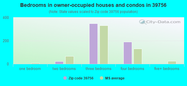 Bedrooms in owner-occupied houses and condos in 39756 