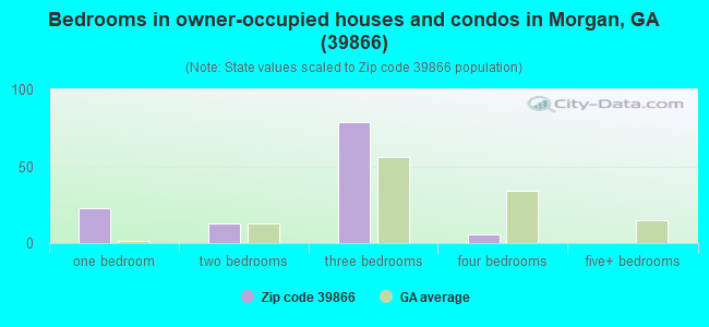 Bedrooms in owner-occupied houses and condos in Morgan, GA (39866) 