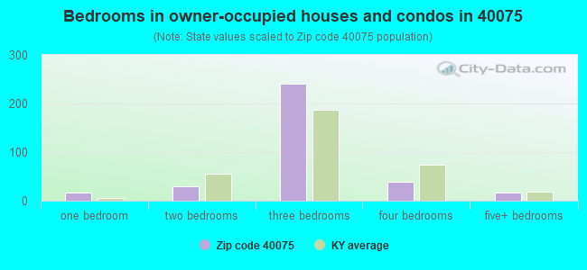 Bedrooms in owner-occupied houses and condos in 40075 