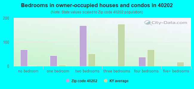 Bedrooms in owner-occupied houses and condos in 40202 