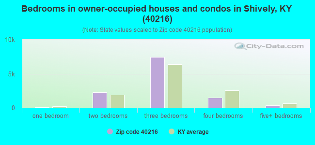 Bedrooms in owner-occupied houses and condos in Shively, KY (40216) 