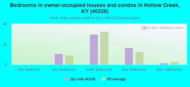 Bedrooms in owner-occupied houses and condos in Hollow Creek, KY (40228) 