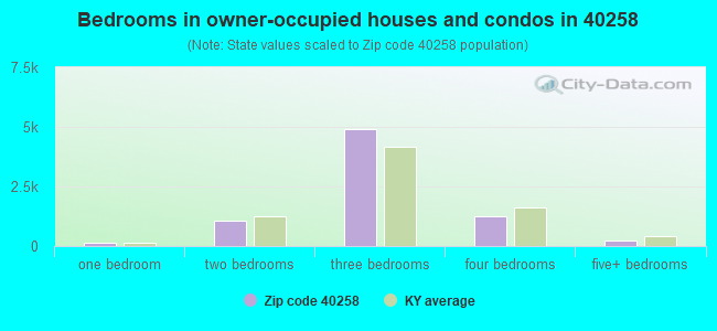 Bedrooms in owner-occupied houses and condos in 40258 