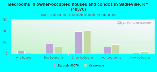 Bedrooms in owner-occupied houses and condos in Sadieville, KY (40370) 