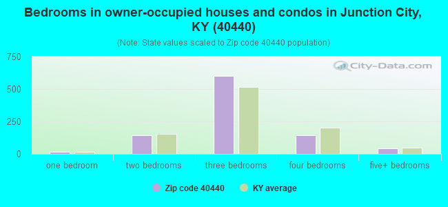 Bedrooms in owner-occupied houses and condos in Junction City, KY (40440) 