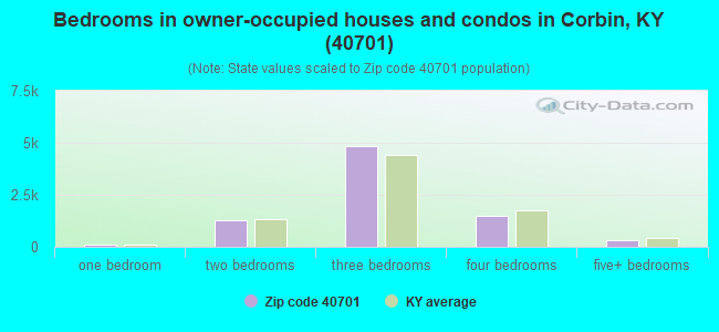 Bedrooms in owner-occupied houses and condos in Corbin, KY (40701) 