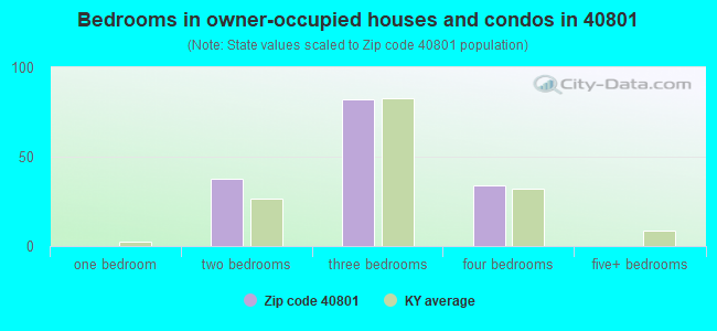 Bedrooms in owner-occupied houses and condos in 40801 