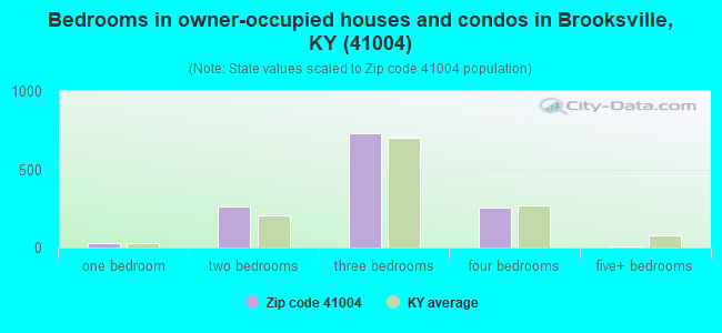 Bedrooms in owner-occupied houses and condos in Brooksville, KY (41004) 