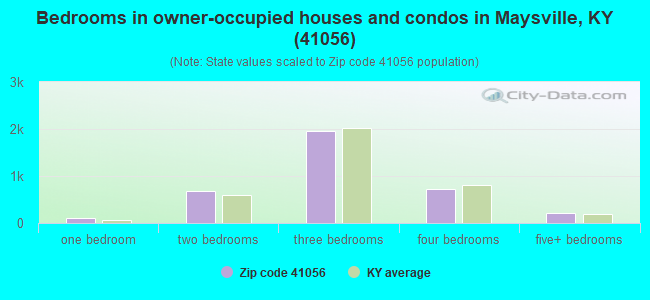 Bedrooms in owner-occupied houses and condos in Maysville, KY (41056) 