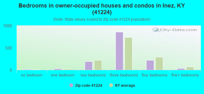 Bedrooms in owner-occupied houses and condos in Inez, KY (41224) 