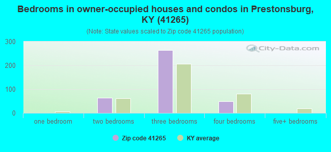 Bedrooms in owner-occupied houses and condos in Prestonsburg, KY (41265) 