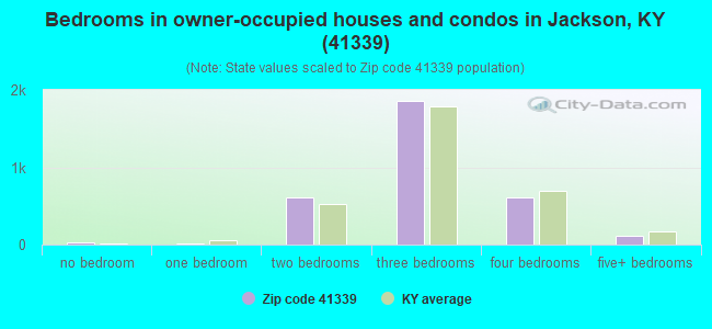 Bedrooms in owner-occupied houses and condos in Jackson, KY (41339) 