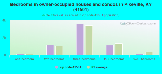 Bedrooms in owner-occupied houses and condos in Pikeville, KY (41501) 