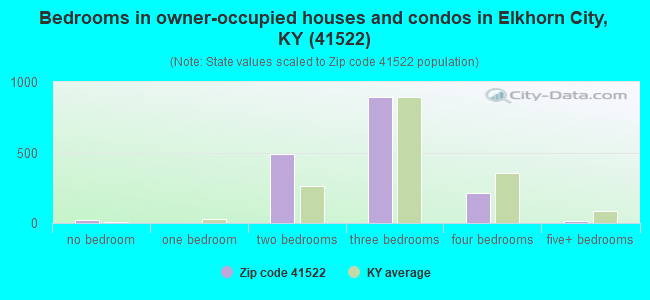 Bedrooms in owner-occupied houses and condos in Elkhorn City, KY (41522) 