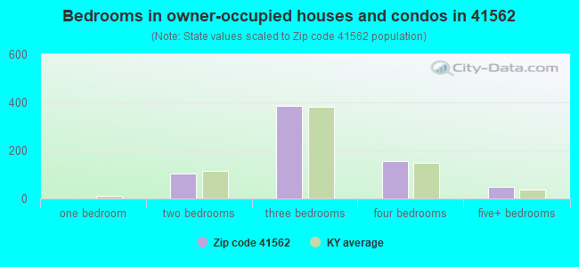 Bedrooms in owner-occupied houses and condos in 41562 