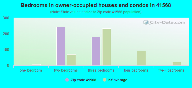 Bedrooms in owner-occupied houses and condos in 41568 