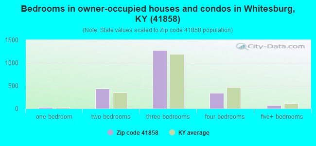 Bedrooms in owner-occupied houses and condos in Whitesburg, KY (41858) 