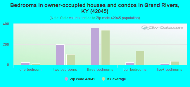 Bedrooms in owner-occupied houses and condos in Grand Rivers, KY (42045) 