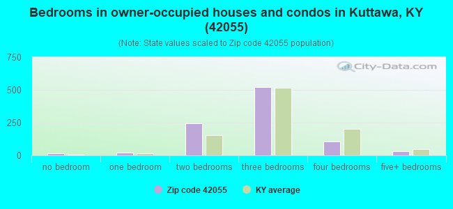 Bedrooms in owner-occupied houses and condos in Kuttawa, KY (42055) 