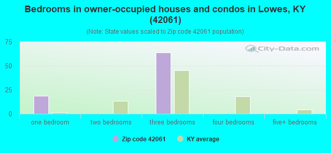 Bedrooms in owner-occupied houses and condos in Lowes, KY (42061) 