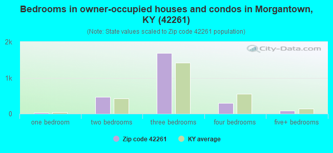 Bedrooms in owner-occupied houses and condos in Morgantown, KY (42261) 