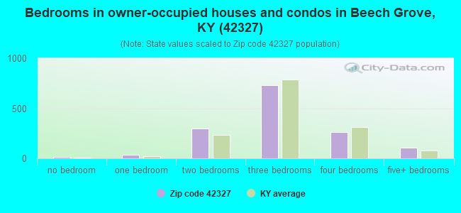 Bedrooms in owner-occupied houses and condos in Beech Grove, KY (42327) 