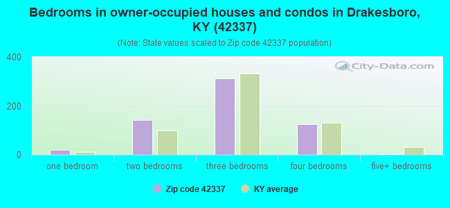 Bedrooms in owner-occupied houses and condos in Drakesboro, KY (42337) 