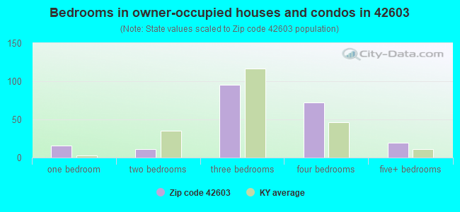 Bedrooms in owner-occupied houses and condos in 42603 