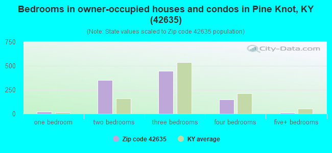 Bedrooms in owner-occupied houses and condos in Pine Knot, KY (42635) 