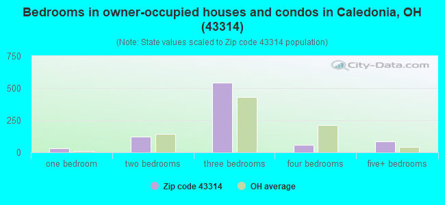 Bedrooms in owner-occupied houses and condos in Caledonia, OH (43314) 