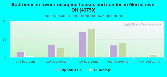 Bedrooms in owner-occupied houses and condos in Morristown, OH (43759) 