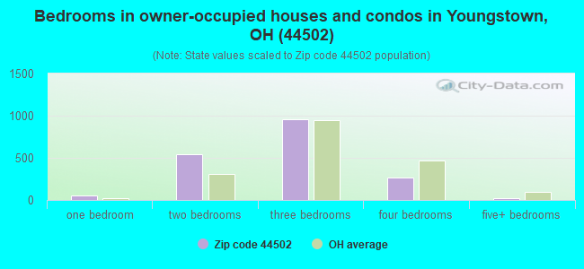 Bedrooms in owner-occupied houses and condos in Youngstown, OH (44502) 