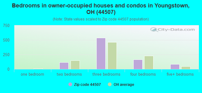 Bedrooms in owner-occupied houses and condos in Youngstown, OH (44507) 