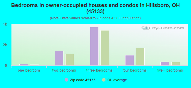 Bedrooms in owner-occupied houses and condos in Hillsboro, OH (45133) 
